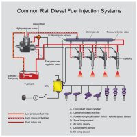all common rail diesels